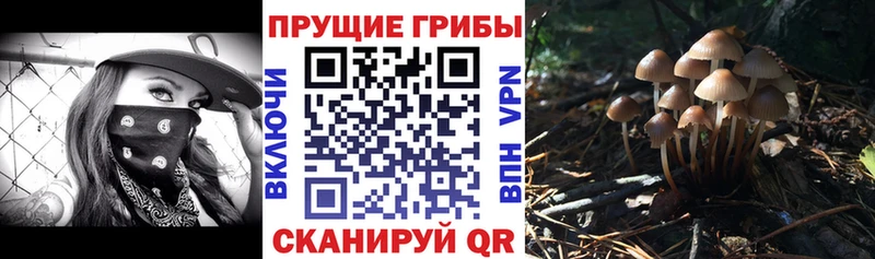кракен ТОР  Махачкала  Галлюциногенные грибы мухоморы  shop какой сайт  где купить  
